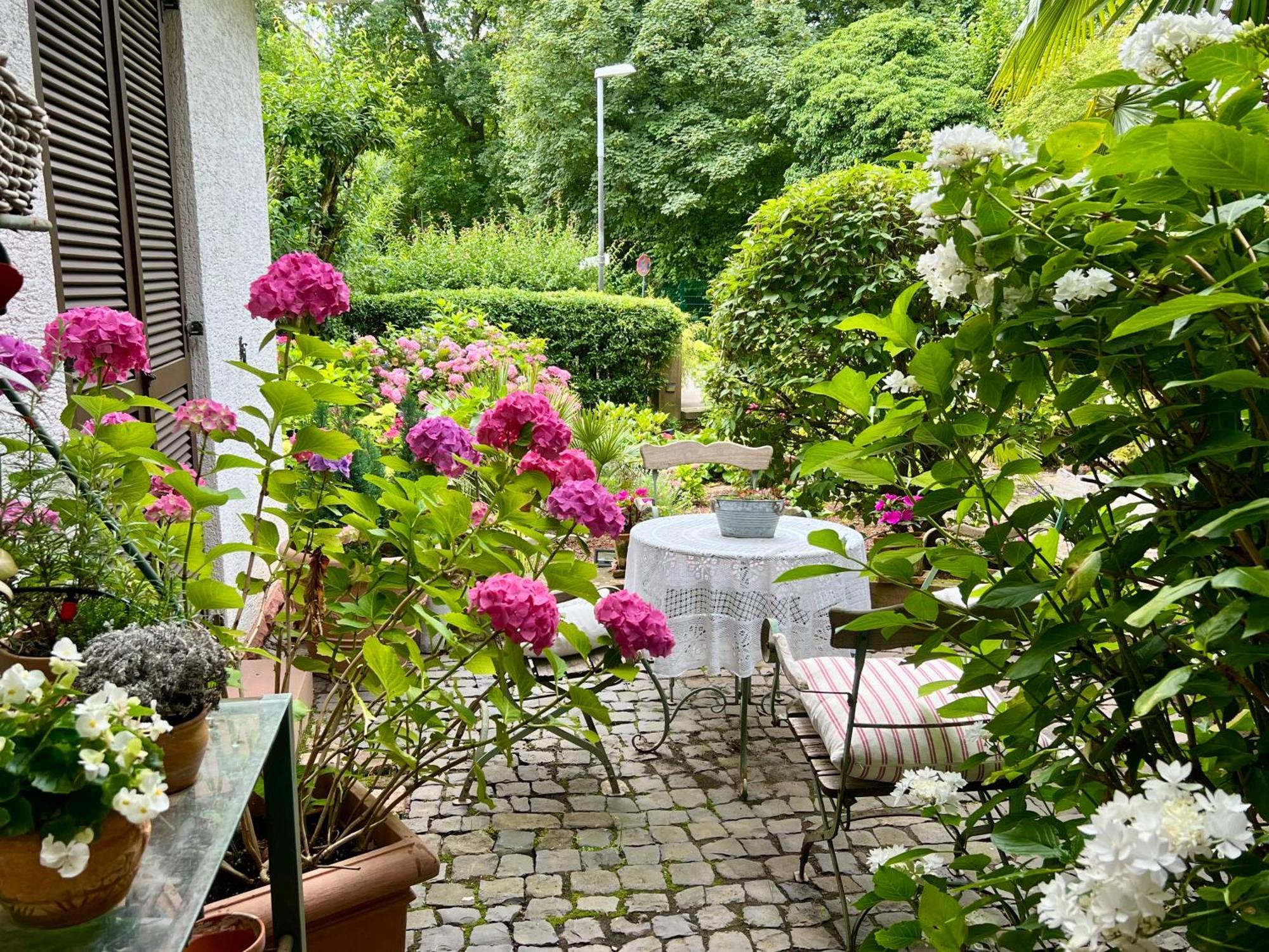 Einliegerwohnung In Einer Muehle Vor Den Toren Frankfurts, Ideal Fuer Messegaeste Oder Stop Over Dreieich Exterior foto